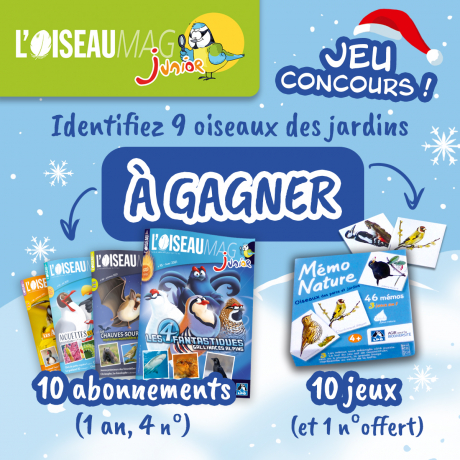 jeu concours Oiseau Mag Junior 2021